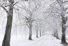 Снегопады и дожди ожидаются в Казахстане 29 декабря