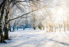 Как будет работать Ботанический сад Алматы в новогодние праздники