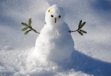 Акция от снеговика: в Павлодаре продавали "необычное мясо"