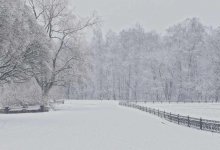 Снег и метель: штормовое предупреждение объявлено на большей части Казахстана