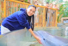 Дочь Баян Алагузовой призналась, что увлеклась компьютерной игрой