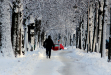 Сильный снег и осадки прогнозируются в ряде регионов Казахстана