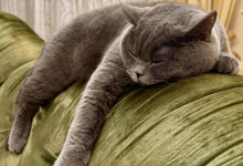 Аким Павлодарской области рассказал как выглядит его "роскошный максимум"