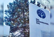 Входные билеты в Ботанический сад Алматы подорожали