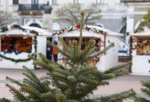 Мошенники обманули сотрудника банка при покупке новогодней елки в Актобе