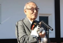 Кошку назначили начальником ж/д станции в Японии (ВИДЕО)