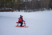 Золотые правила прогулки во время болезни