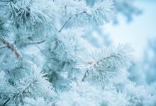 38-градусные морозы надвигаются на Казахстан