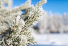 Астану ждут устойчивые крещенские морозы