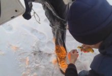 Пришлось разрезать одежду: подробности спасения рыбаков под Экибастузом