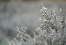 Сильные морозы ожидаются в Казахстане 18 января