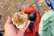 Пять человек занимались незаконной добычей золота в Абайской области