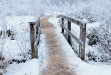 Снег и метель ожидаются в Казахстане 19 января