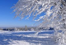 Мороз и метель: в Астане ожидается резкое похолодание