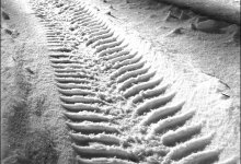 Сильные морозы остановили движение на трассах Казахстана