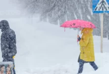 Метель, гололед и туман: какие регионы РК в зоне риска 26 января