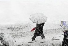 Снег и метель прогнозируют синоптики в Казахстане 26 января