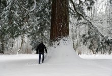 Как гулять по снегу безопасно и с пользой для здоровья
