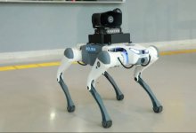 Роботы-собаки патрулируют крупные торговые центры Астаны (ВИДЕО)