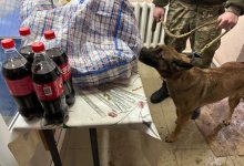 Наркотики нашли в ремне сумки при досмотре передачи в колонии Кызылорды