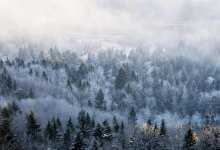 Густой туман окутает Алматы