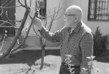 Ушел из жизни актер и режиссер Балтабай Сейітмамытұлы