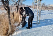 От уборки снега до помощи пожилым: AMANAT продолжает акцию "Таза бейсенбі"