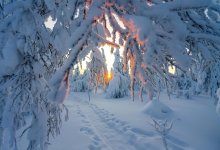 Ветер до 30 м/с, сильные осадки и мороз ожидается в Казахстане