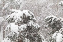 Снег и метель закрутят Астану