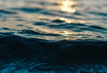 Река Карасу сменила цвет в Шымкенте (ВИДЕО)