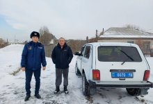 Сибирскую косулю с ошейником обнаружил во дворе своего дома житель Абайской области