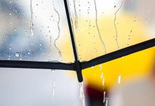 Жителей Шымкента предупредили о дожде и сильном ветре