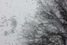 Снег с дождем и туман прогнозируют в Алматы