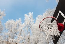 Ветка дерева убила ребенка в Шымкенте: новые подробности