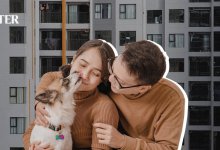 Домашние животные в многоэтажках: что важно знать хозяевам