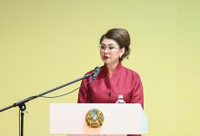 Аида Балаева: Судьба Новой Конституции – это общее дело не только юристов и политиков, но и всего общества