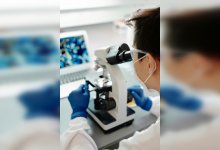 Итоги года под микроскопом