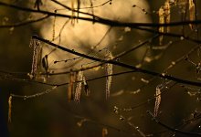 Какой будет весна 2026 года в Алматы и Алматинской области