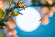 Как казахстанцы отдохнут в марте 2026 года