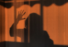 Швед предстал перед судом за торговлю телом жены для более 100 мужчин