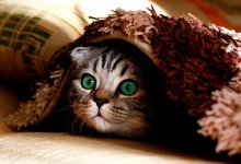 Затопило квартиру? Как вернуть деньги и защитить свои права