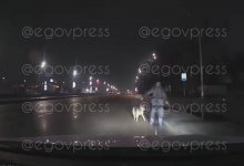 Военнослужащий сбил пешехода с собакой в Алматы (ВИДЕО)