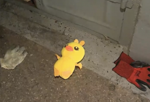 Пожар из-за игрушки: трое малышей погибли во Владивостоке