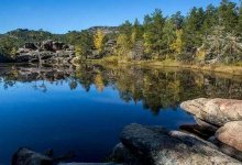 Ближе к природе с комфортом