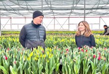 Вестники солнца и радости