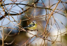 Потеплеет, но будут нюансы: погода в Шымкенте