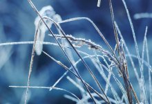 Метель и гололед ожидаются в Казахстане