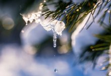 Резкое потепление до +14 и осадки ждут Шымкент на рабочей неделе