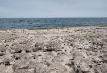 1,1 млрд тенге направили на изучение и сохранение Каспия