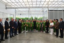 Аида Балаева: Уважение к человеку труда должно быть не лозунгом, а нормой, обеспеченной правовыми принципами